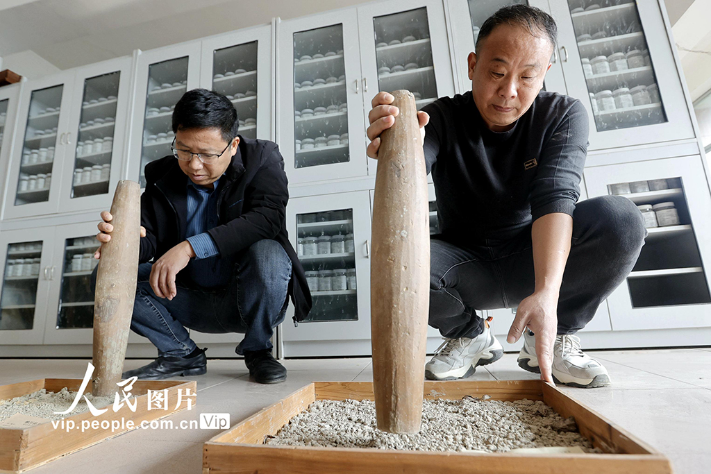 江西峽江：“測(cè)土配方”讓土壤吃上“營(yíng)養(yǎng)餐”【2】