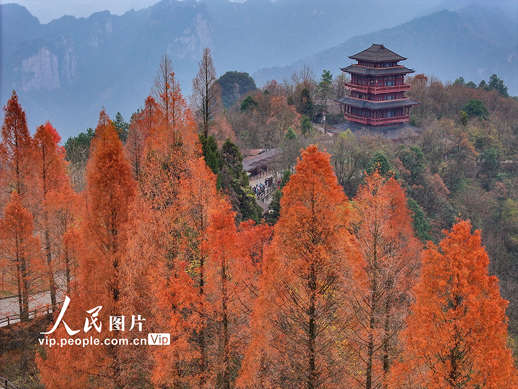 湖南張家界：武陵源五彩斑斕冬景如畫【2】