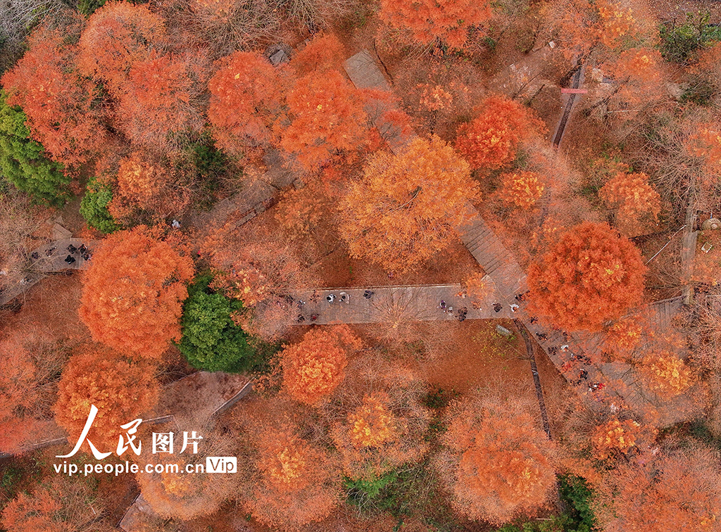 湖南張家界：武陵源五彩斑斕冬景如畫【3】