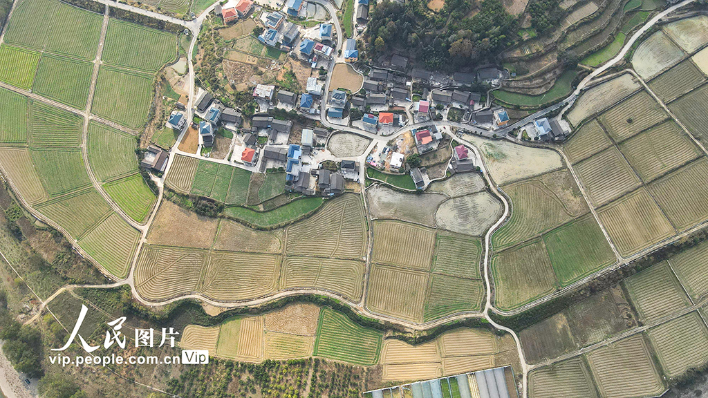 貴州岑鞏：冬日鄉(xiāng)村景色美【5】