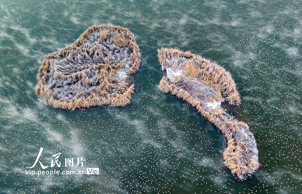 內蒙古呼和浩特“千島湖”美景引客來【8】