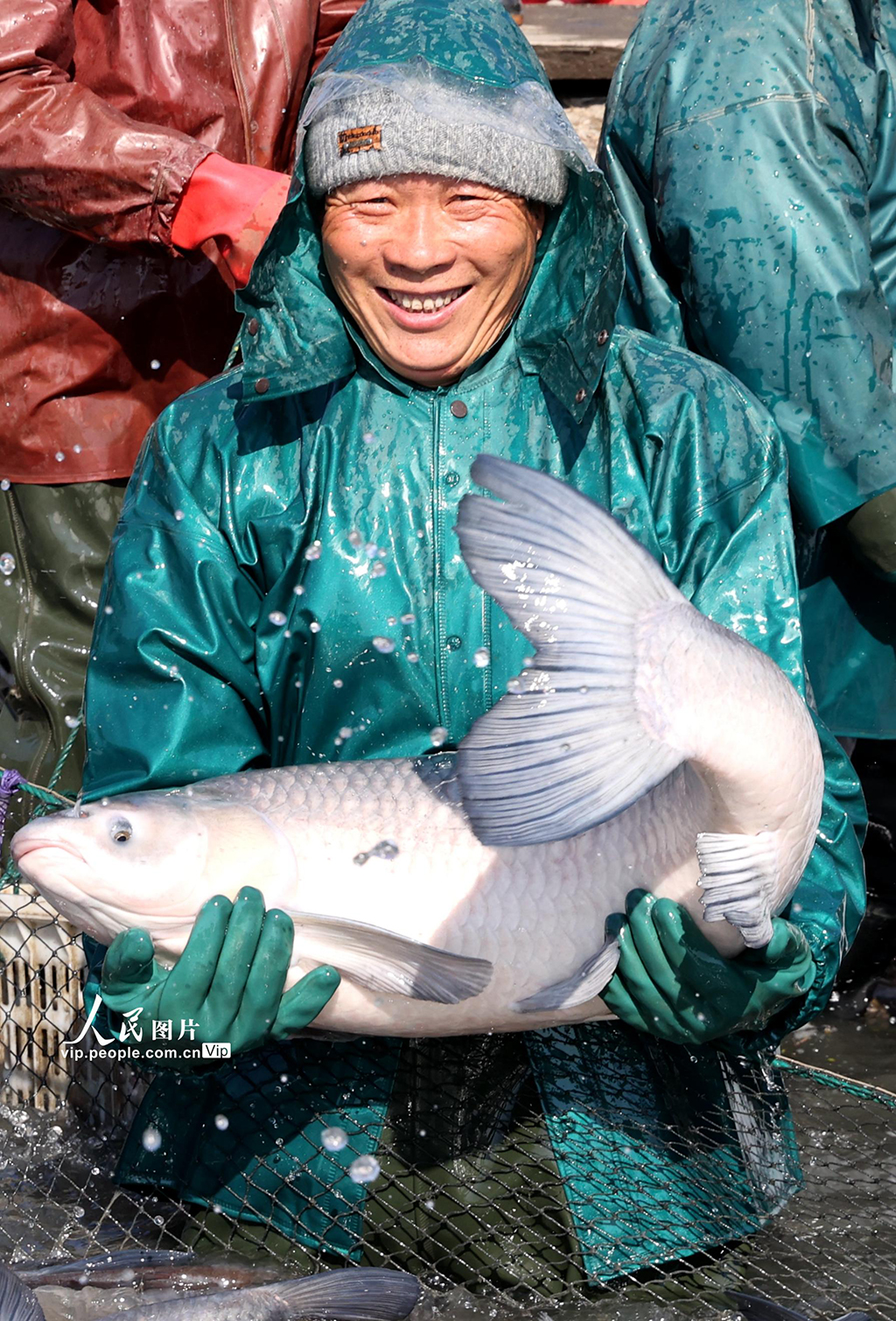 浙江德清：冬捕鮮魚 供應(yīng)市場【8】
