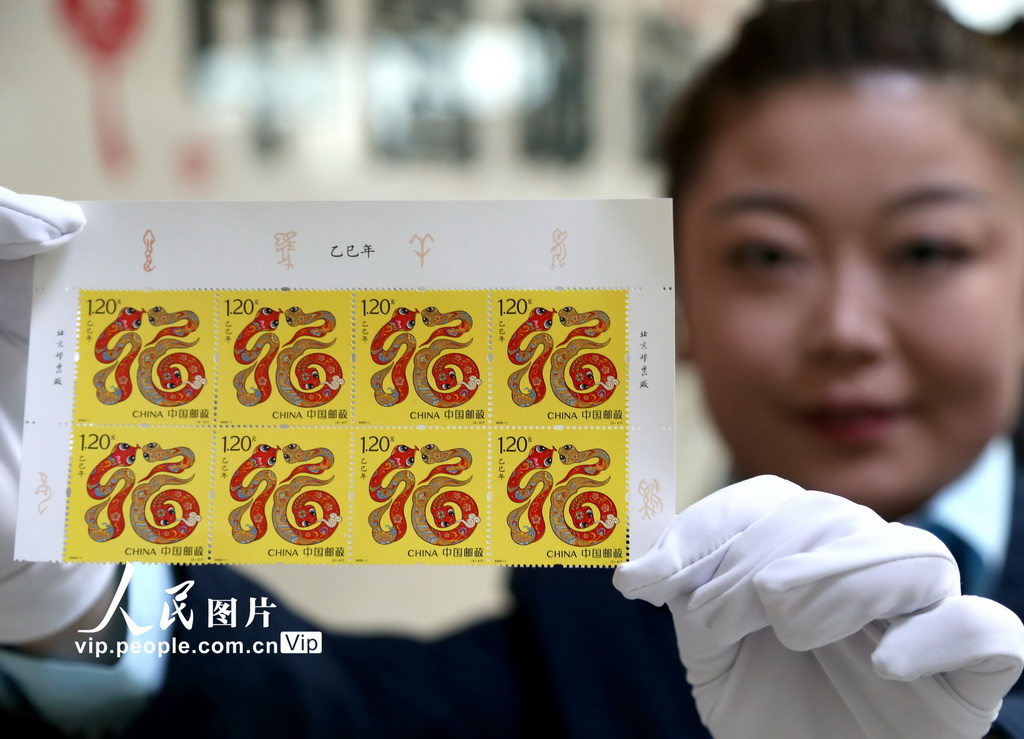2025年1月5日，在青海省西寧市，郵政工作人員正在《乙巳年》特種郵票。張忠蘋攝（人民圖片網(wǎng)）
