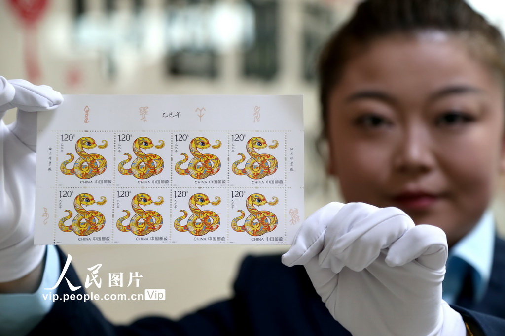 2025年1月5日，在青海省西寧市，郵政工作人員正在《乙巳年》特種郵票。張忠蘋攝（人民圖片網(wǎng)）
