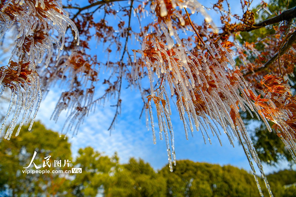 浙江淳安：千島湖畔出現(xiàn)冰凌景觀【4】