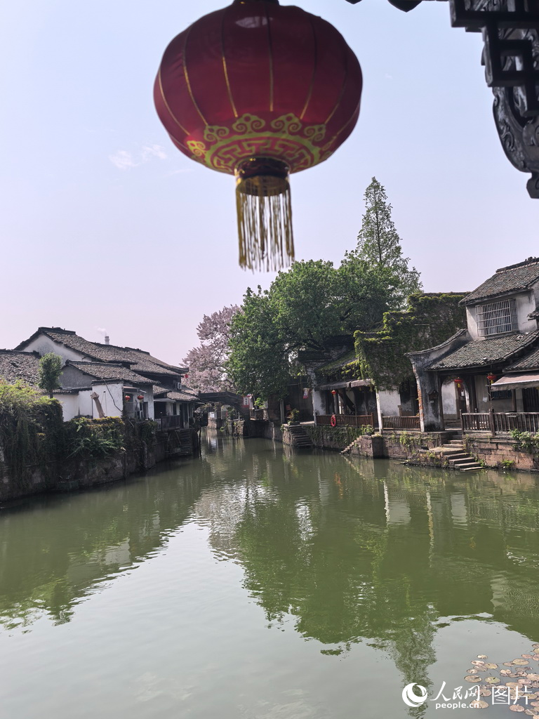 新市千年古鎮(zhèn)迎來春季旅游熱潮 水鄉(xiāng)風(fēng)情引客來【10】