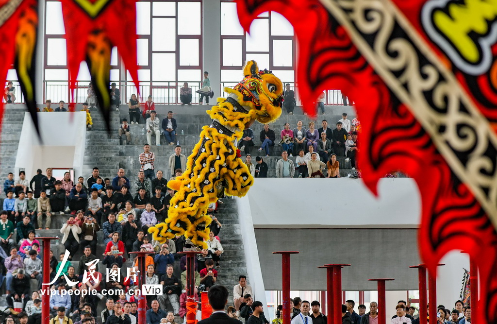 廣西賀州：獅王爭霸賽精彩紛呈