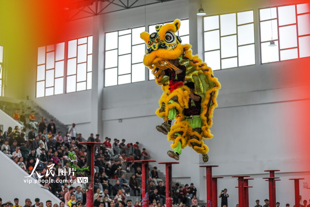 廣西賀州：獅王爭霸賽精彩紛呈【3】