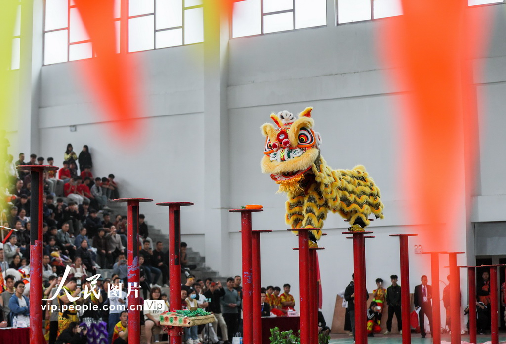 廣西賀州：獅王爭霸賽精彩紛呈【4】