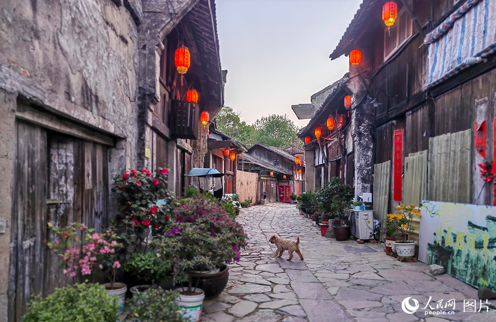 西河古鎮(zhèn)除主街道外另有一條與之交錯(cuò)的十字街和七條小巷，鐫刻了西河的歷史印記。