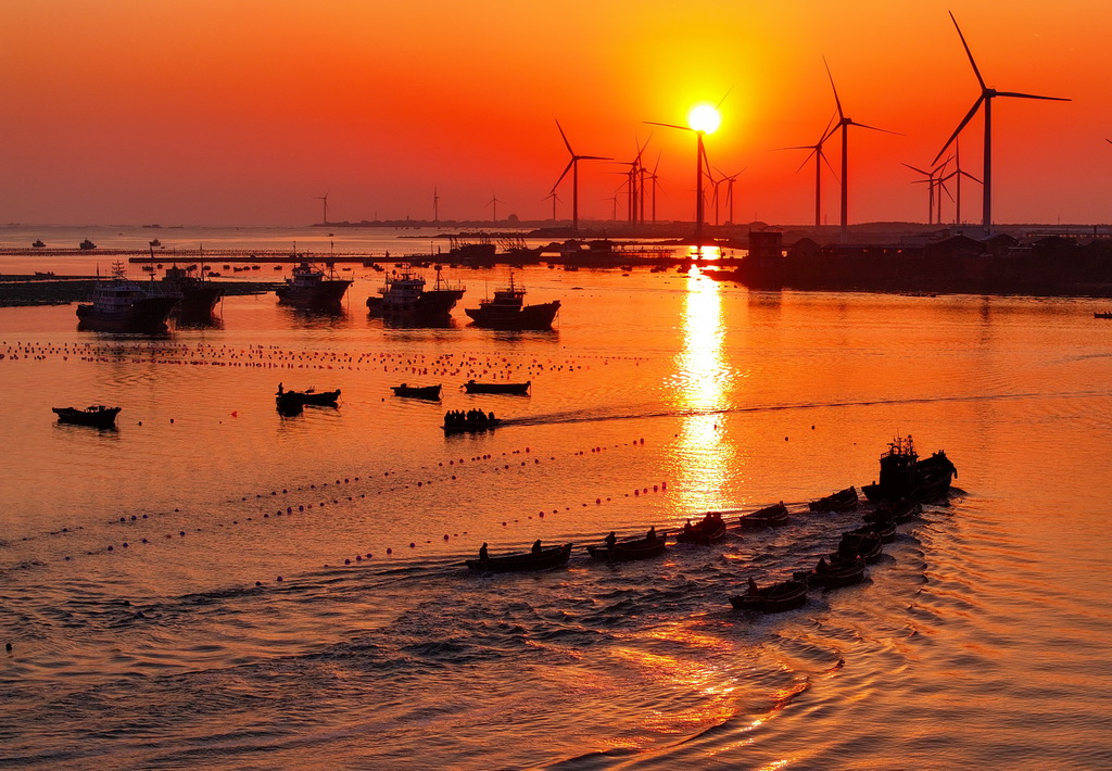 4月15日，在山東省榮成市石島管理區(qū)桑溝灣海域，漁民駕船出海作業(yè)（無人機(jī)照片）。新華社發(fā)（李信君 攝）