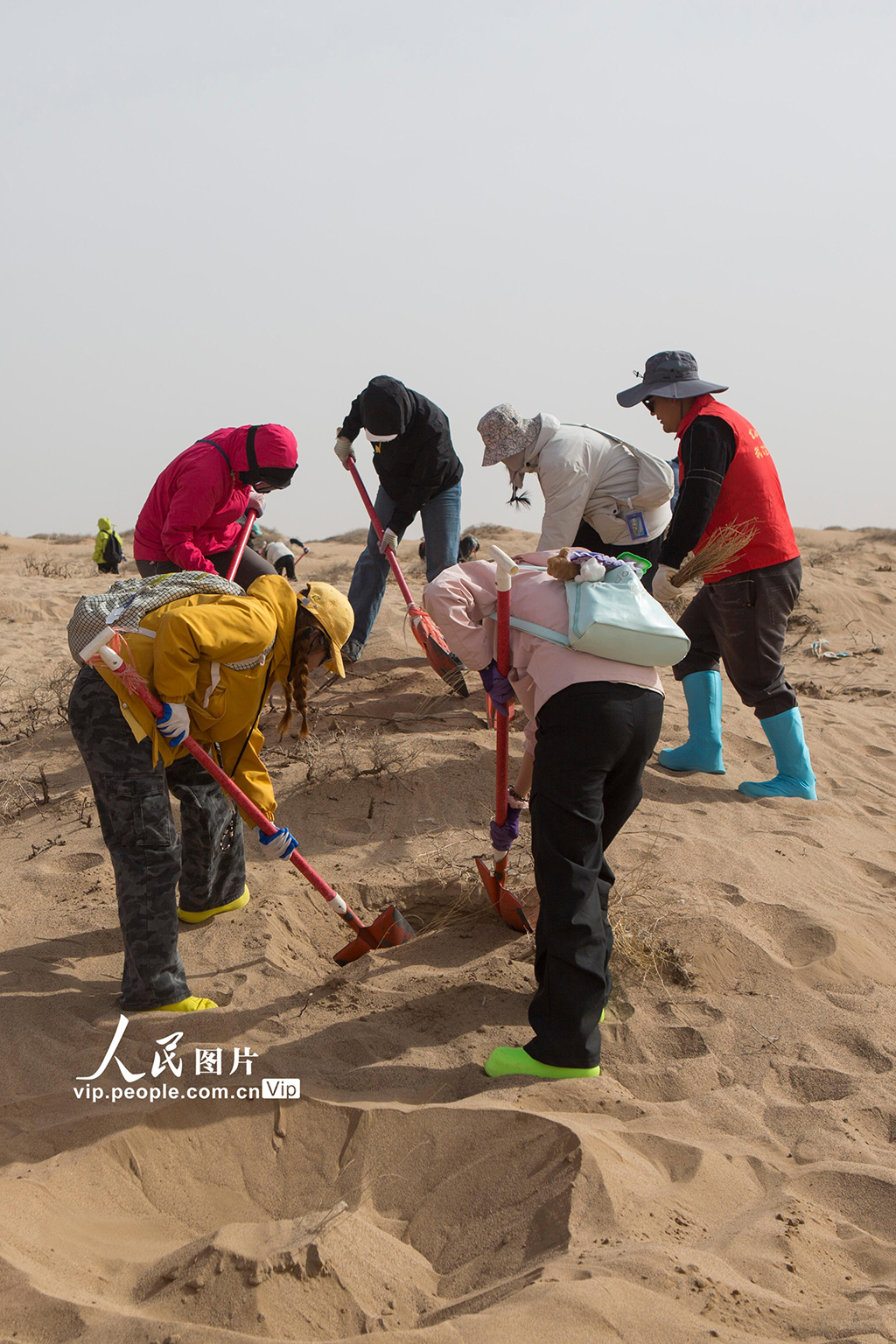 甘肅民勤:“請(qǐng)到民勤種棵樹(shù)”公益治沙活動(dòng)如火如荼【3】