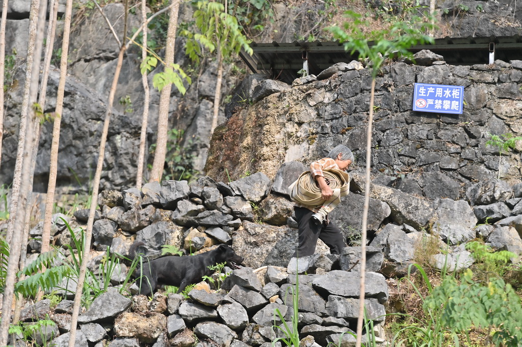 4月21日，廣西馬山縣金釵鎮(zhèn)龍印村村民在鋪設(shè)水管，準備將當?shù)卣蛠淼乃M水柜。