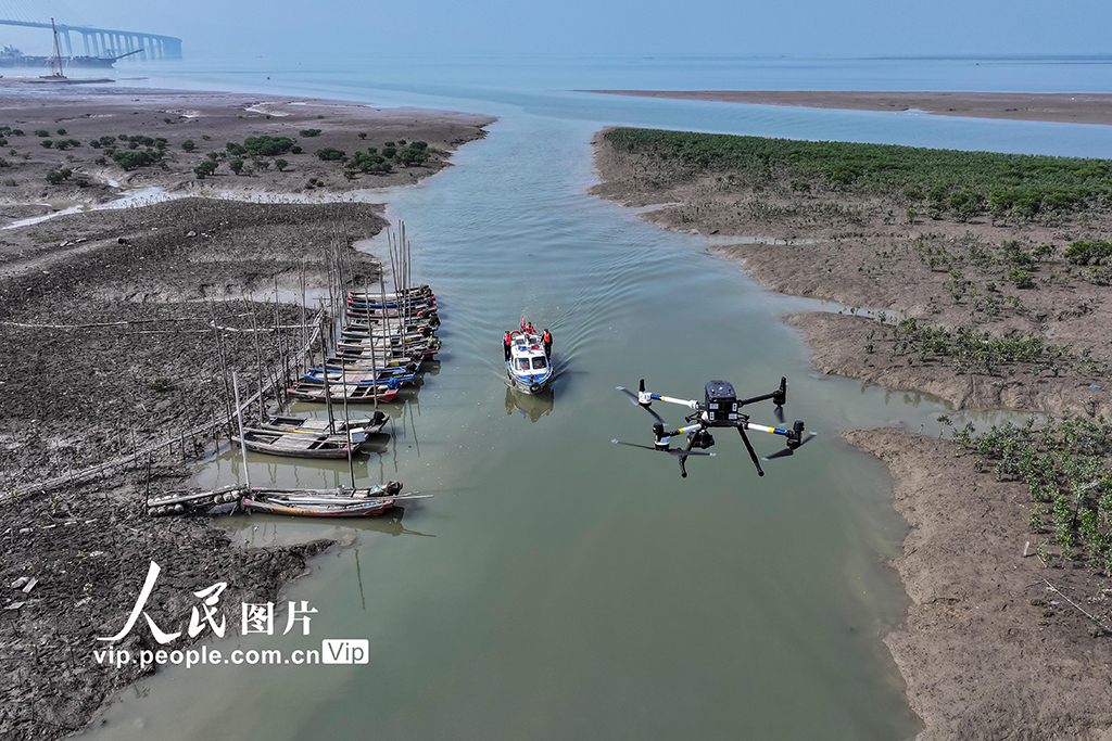 福建漳州：守護(hù)濕地生態(tài)安全