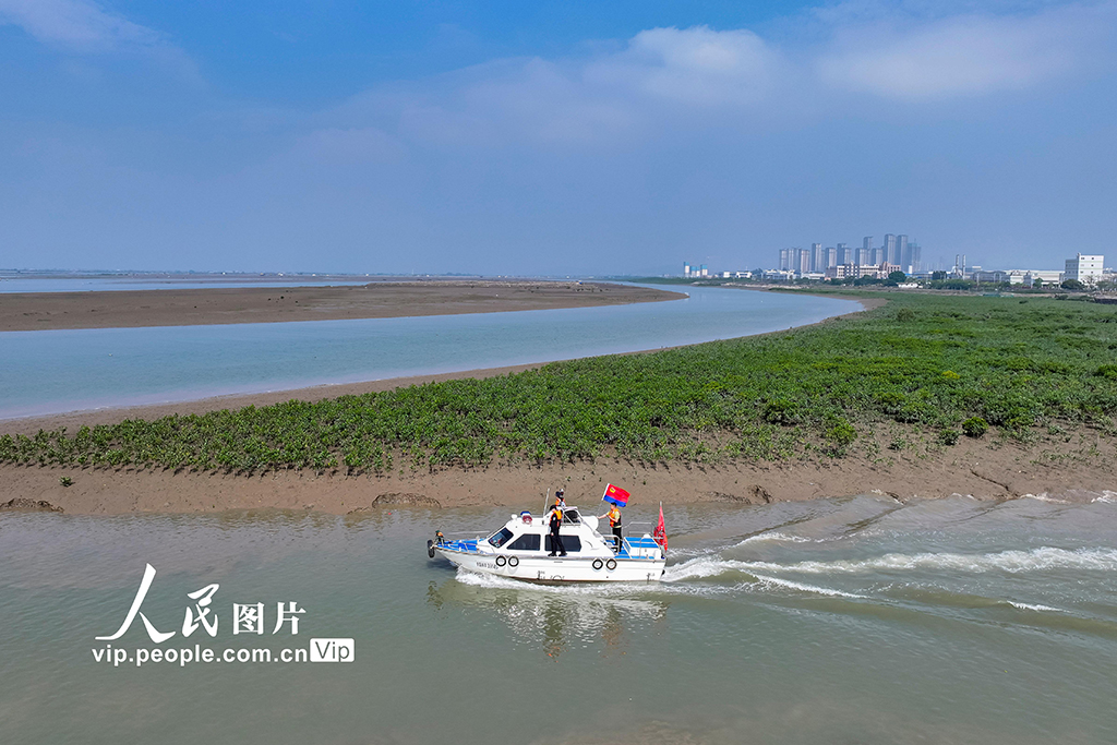 福建漳州：守護(hù)濕地生態(tài)安全【3】