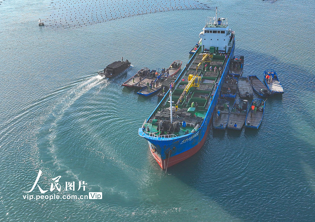 山東榮成：鮑魚(yú)“南北轉(zhuǎn)場(chǎng)”忙【4】