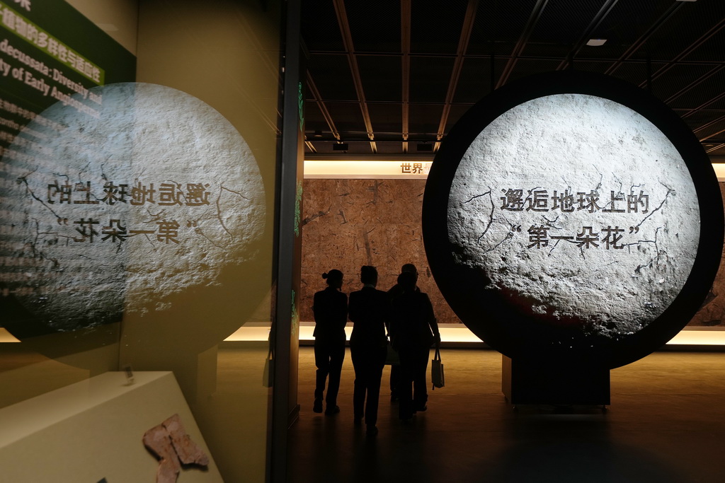 4月27日，游客在遼寧朝陽古生物化石博物館內參觀。