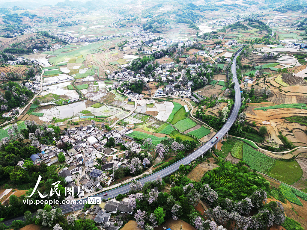 貴州黔西：山花開處鄉(xiāng)村美