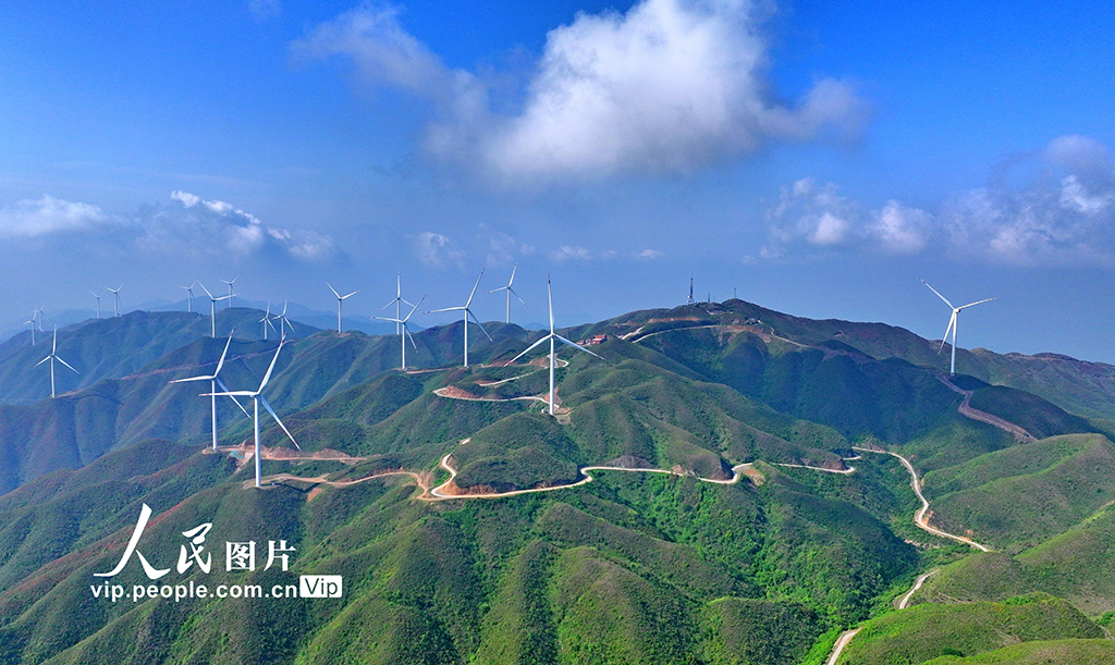 湖南桂陽：綠色生態(tài) “風(fēng)”景如畫【2】