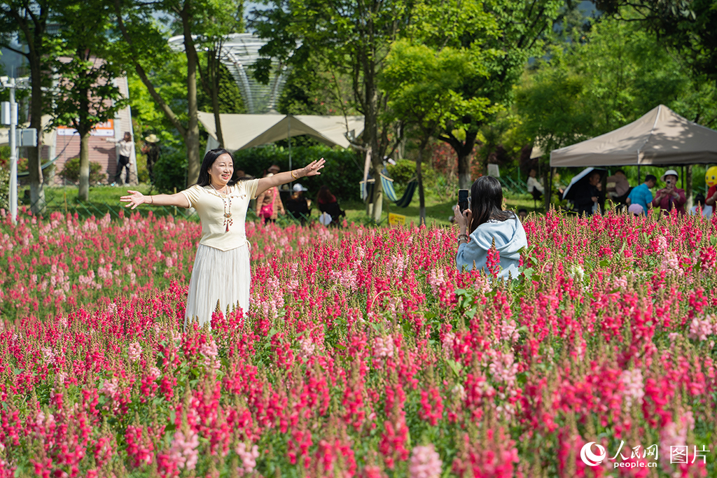 2025年5月2日，貴州省貴陽市花畫小鎮(zhèn)景區(qū)，游客在花海中拍攝打卡。人民網(wǎng) 陽茜攝