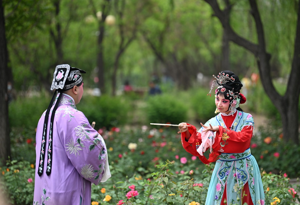 5月5日，演員在天津人民公園為觀眾表演京劇《西廂記》。