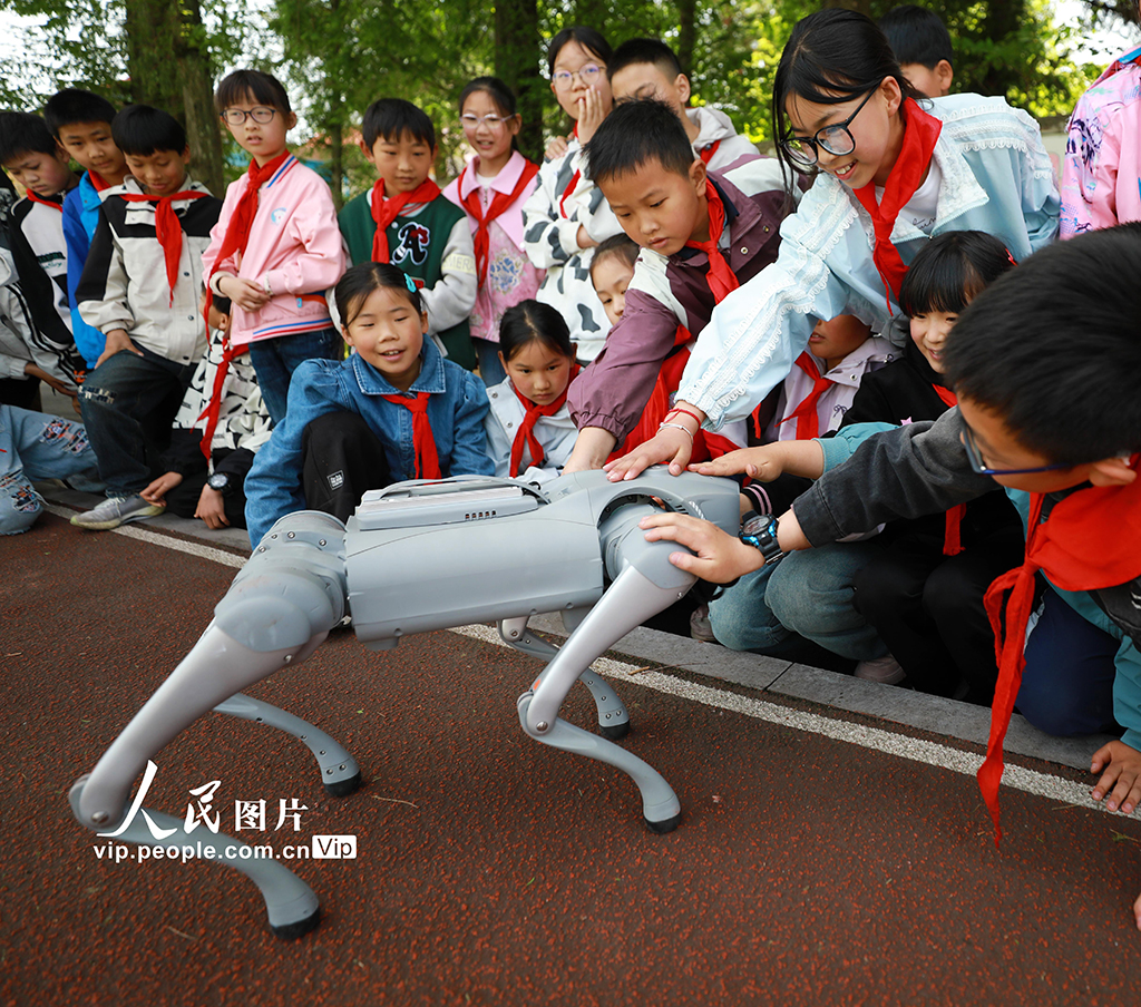 湖北巴東：智能機(jī)器狗進(jìn)鄉(xiāng)村小學(xué)【3】