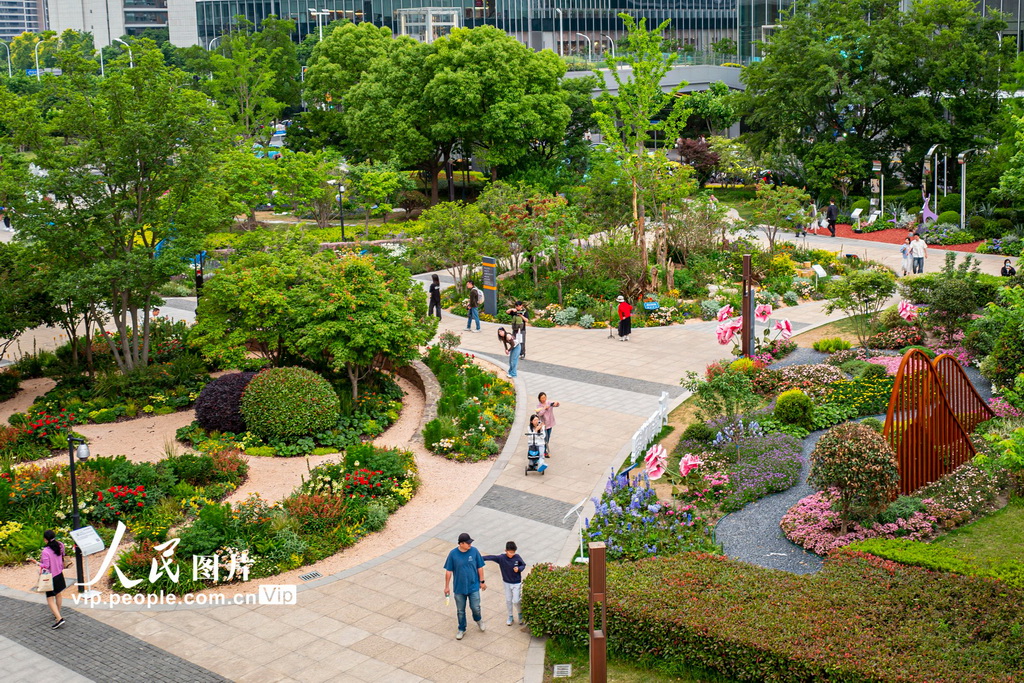 上海國際花展激發(fā)“賞花經(jīng)濟(jì)”新活力【2】