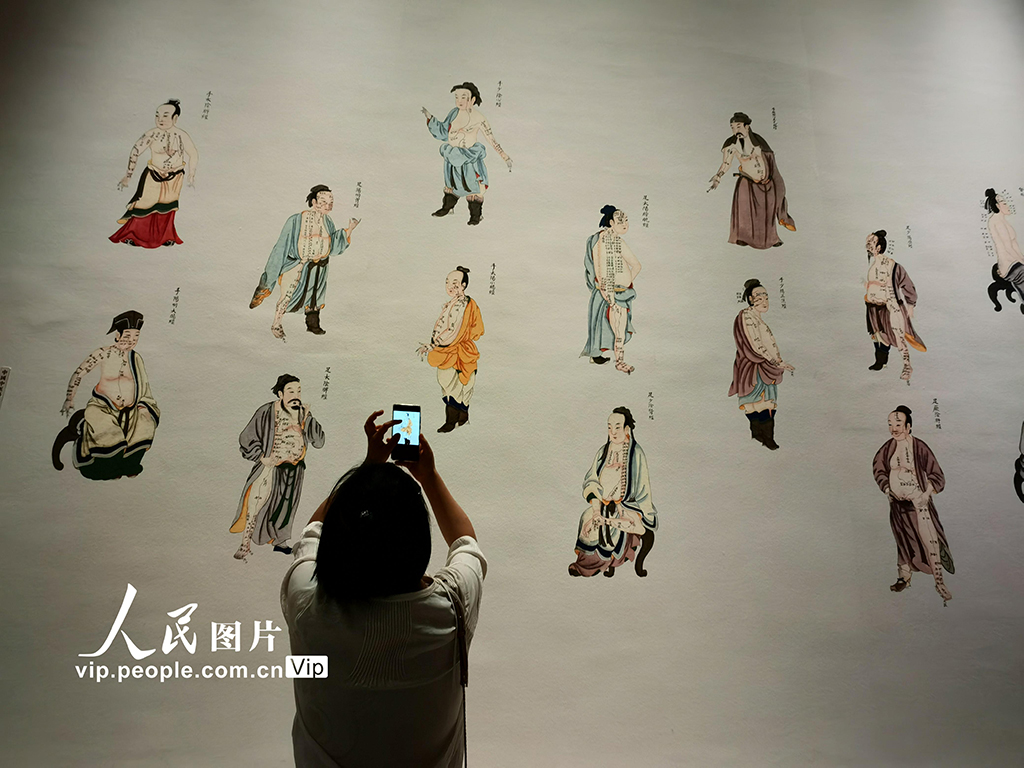 北京：“生生之道——中醫(yī)藥非遺主題展”在中國非遺館開展【2】