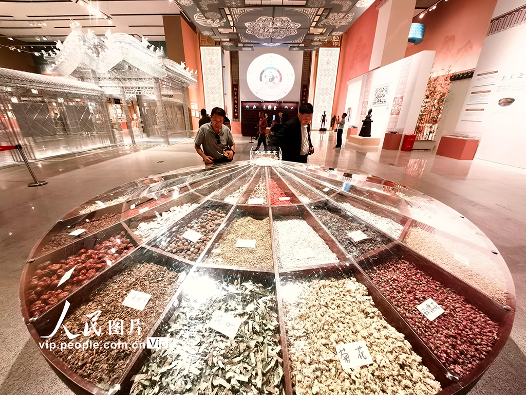 北京：“生生之道——中醫(yī)藥非遺主題展”在中國非遺館開展【5】