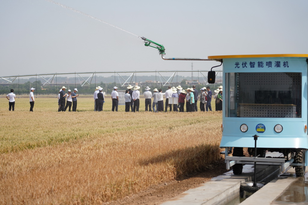5月19日，與會人員在陜西楊凌參觀旱區(qū)農(nóng)業(yè)節(jié)水技術(shù)與裝備田間展。