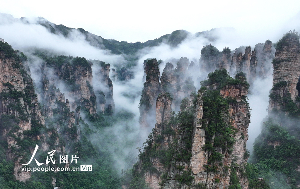 湖南張家界出現(xiàn)云海景觀