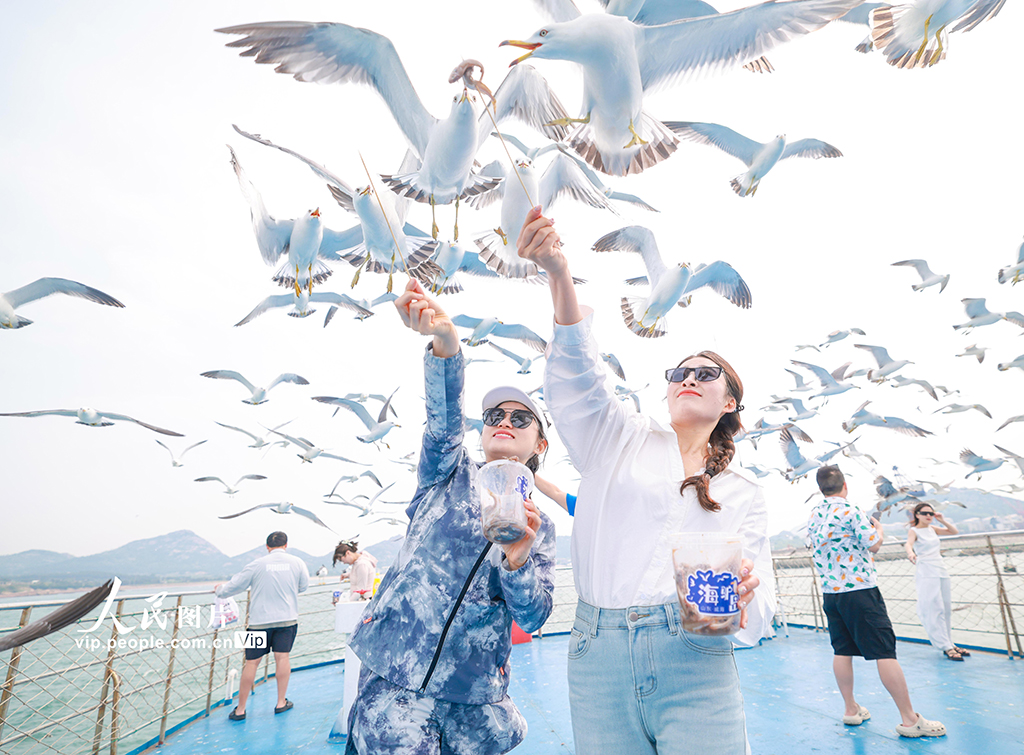 山東榮成：游船逐浪 鷗鳥相伴