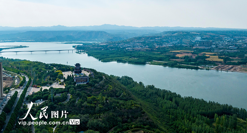 河南三門峽：黃河兩岸生態(tài)美【4】