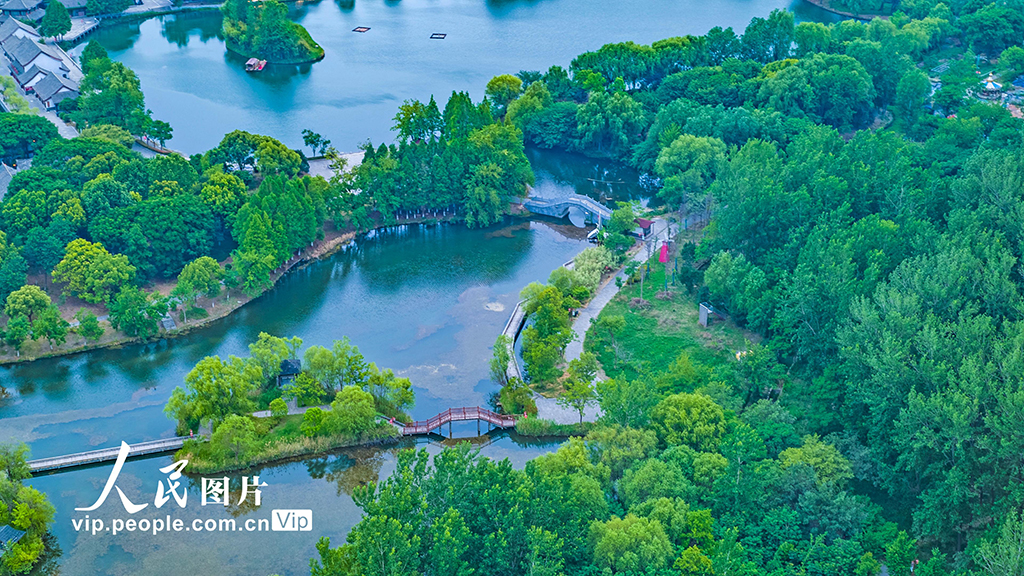 江蘇淮安：洪澤湖初夏景色美【3】