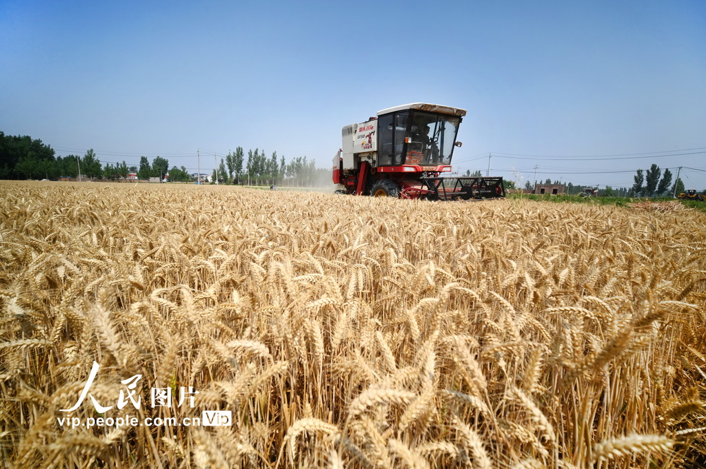 開封麥?zhǔn)彰?/></a><div><a href=
