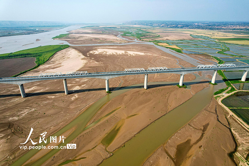 山西永濟(jì)：黃河兩岸夏景如畫(huà)