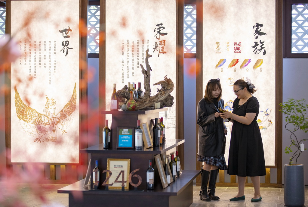 游客（左）在位于銀川市的留世酒莊品鑒中心內(nèi)參觀（2025年6月1日攝）。新華社記者 楊植森 攝