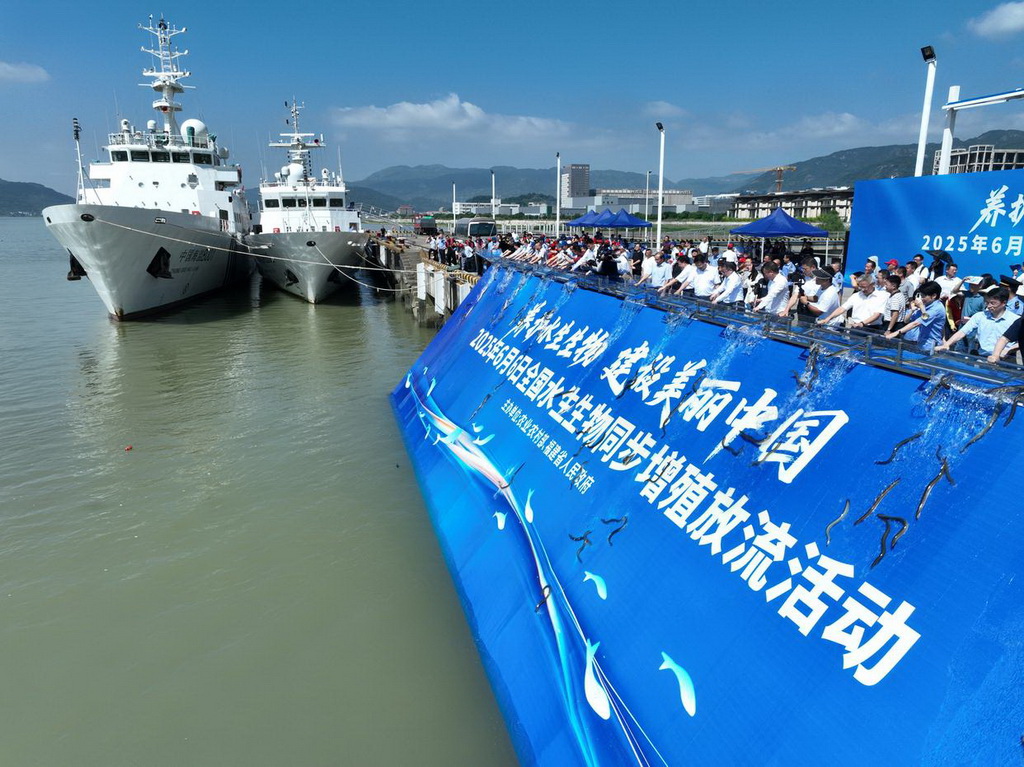 6月6日，在福建省福州市閩江入?？谂e行的全國水生生物同步增殖放流主會場活動中，嘉賓在投放魚苗（無人機照片）。