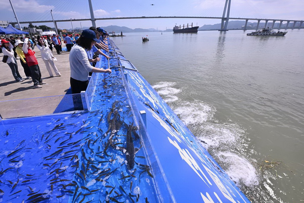 6月6日，在福建省福州市閩江入?？谂e行的全國水生生物同步增殖放流主會場活動中，嘉賓在投放魚苗。
