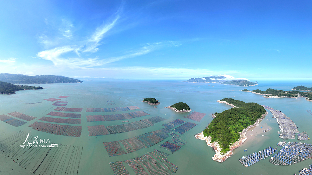 福建霞浦：海洋牧場(chǎng)養(yǎng)殖作業(yè)