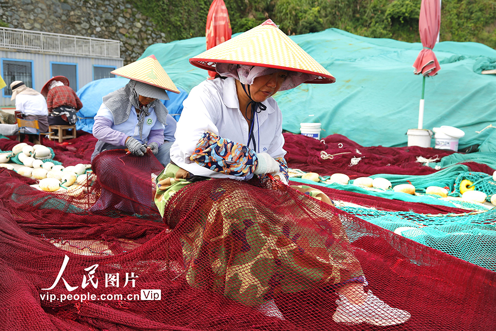 浙江玉環(huán)：伏休季補(bǔ)網(wǎng)【2】