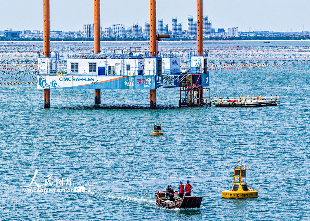 山東榮成：電力巡檢為海洋牧場“護(hù)航”【2】