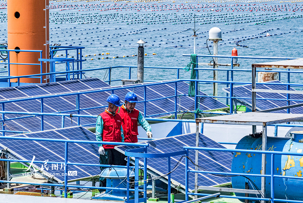 山東榮成：電力巡檢為海洋牧場“護航”【5】