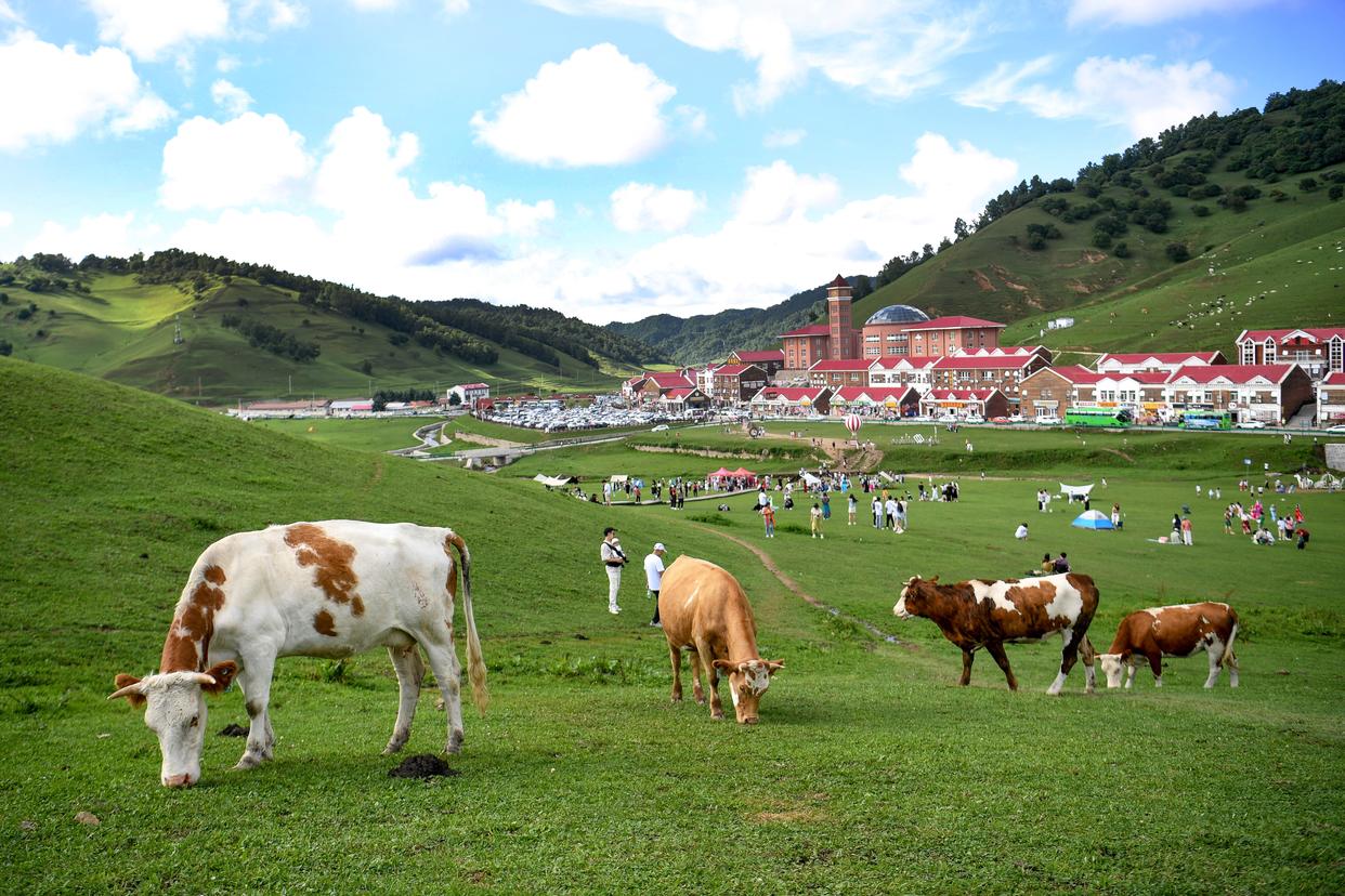 游客在位于寶雞市隴縣的關(guān)山草原景區(qū)游覽（2024年8月3日攝）。新華社記者 鄒競(jìng)一 攝
